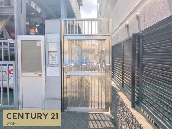 エヴァーグリーン立石