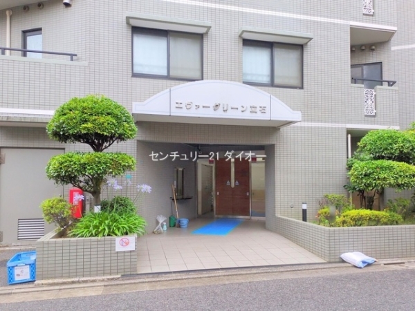 エヴァーグリーン立石