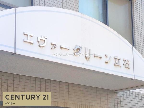 エヴァーグリーン立石