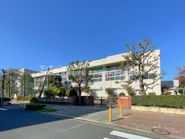 葛飾区金町4丁目の新築一戸建(葛飾区立常盤中学校)