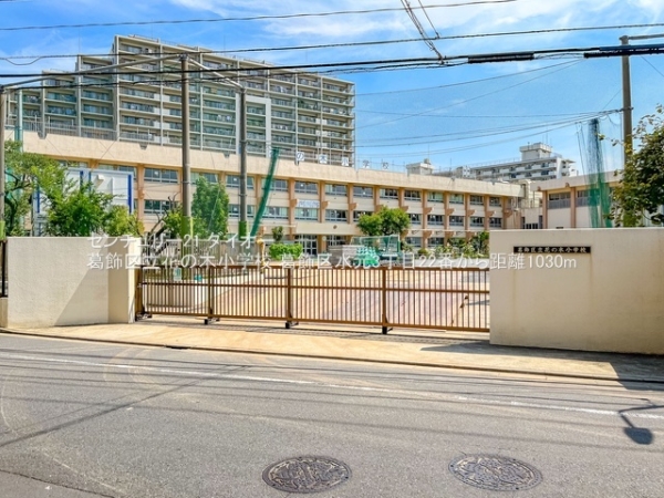 葛飾区水元3丁目の土地(葛飾区立花の木小学校)