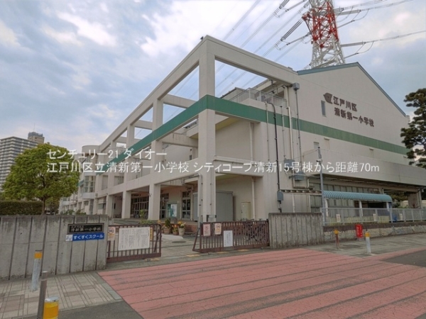 シティコープ清新15号棟(江戸川区立清新第一小学校)