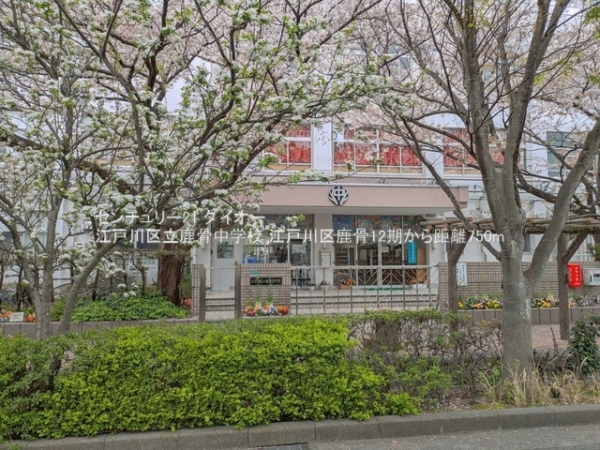 江戸川区鹿骨４丁目の土地(江戸川区立鹿骨中学校)