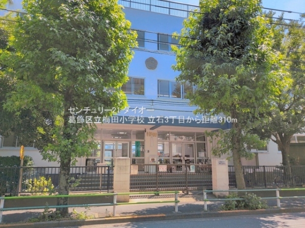 葛飾区立石３丁目の土地(葛飾区立梅田小学校)