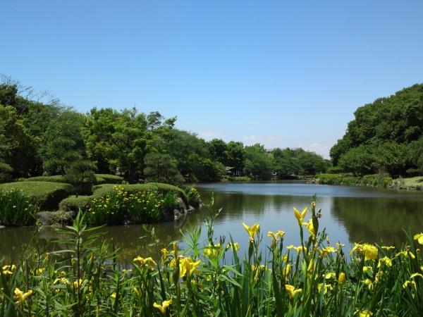 市川市中国分５丁目Ａ号棟(じゅん菜池緑地(水と緑の回廊))