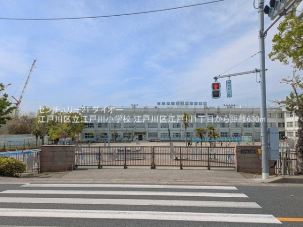 江戸川区江戸川１丁目の新築一戸建(江戸川区立江戸川小学校)