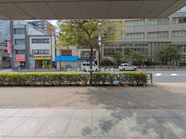 ルミナス金町