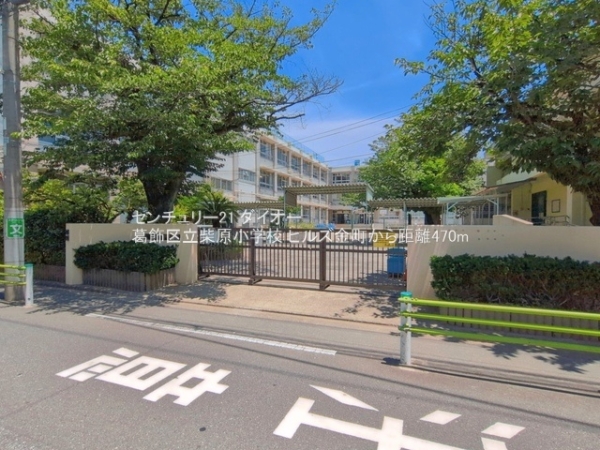 ヒルズ金町(葛飾区立柴原小学校)