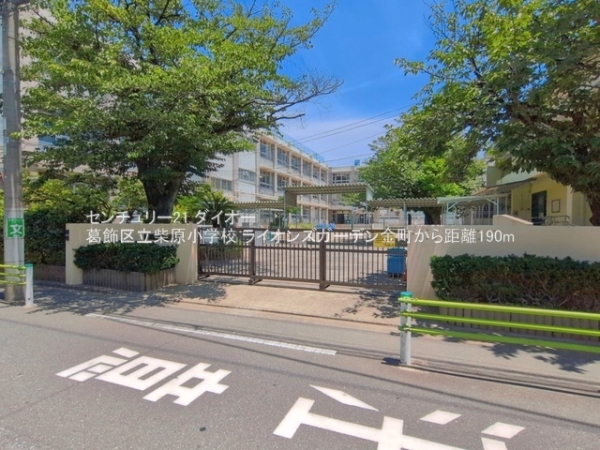 ライオンズガーデン金町(葛飾区立柴原小学校)