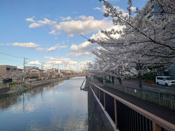 東葛西グリーンホームズ
