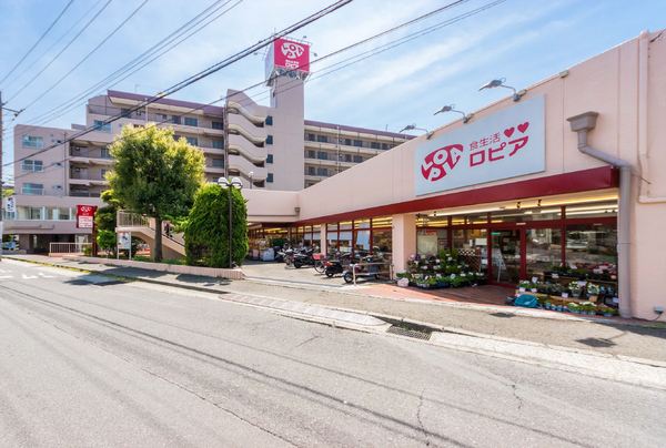 横浜市戸塚区平戸町の土地(ロピア戸塚平戸店)