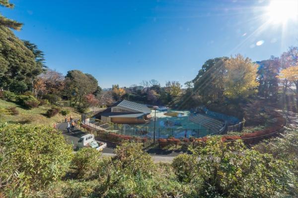 横浜市保土ケ谷区桜ケ丘2丁目の新築一戸建(県立保土ケ谷公園)