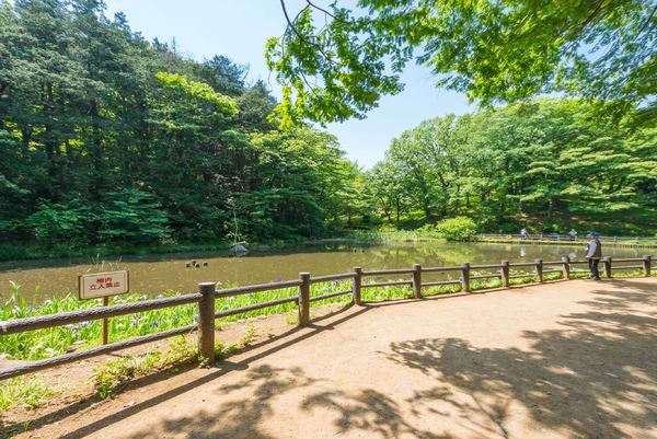 横浜市保土ケ谷区権太坂1丁目の新築一戸建(児童遊園地)