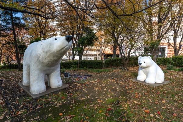 ニューシティ東戸塚　東の街四号館４