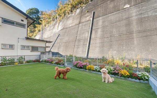 横須賀市鷹取２丁目の新築一戸建