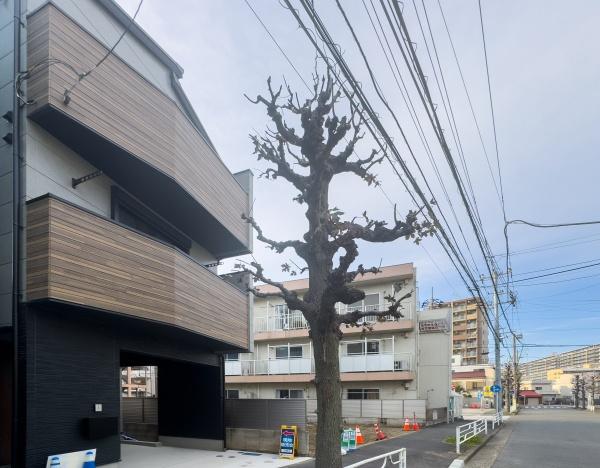 川崎市川崎区池田１丁目の新築一戸建