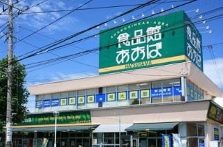 川崎市宮前区初山２丁目の新築一戸建(食品館あおば初山店)