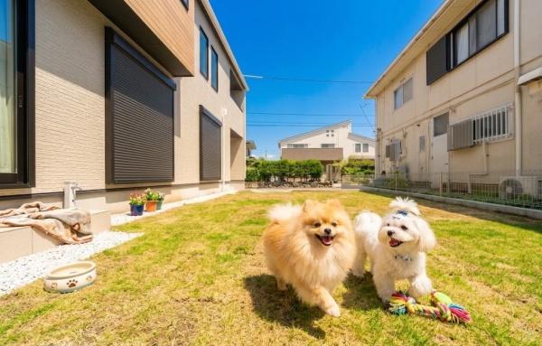 藤沢市遠藤の新築一戸建