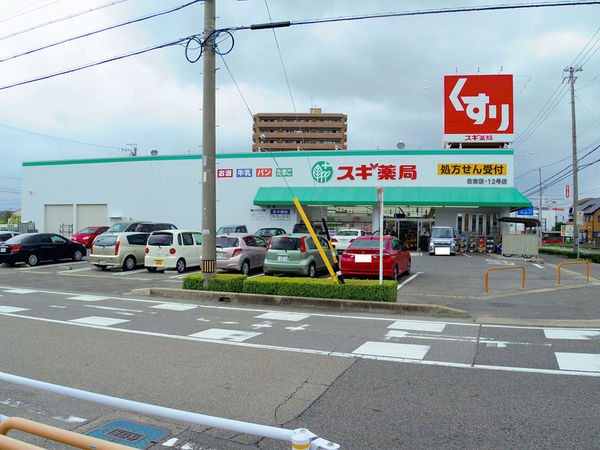 安城市今本町3丁目の新築一戸建(スギ薬局住吉店)