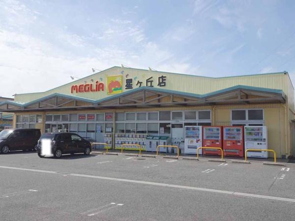 刈谷市東境町新林の土地(メグリアミニ星ケ丘店)