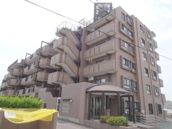 刈谷アイリス