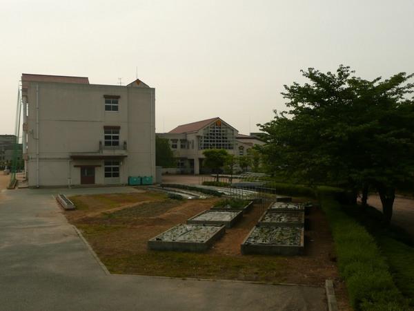 イトーピア神戸藤原台D棟(神戸市立藤原台小学校)