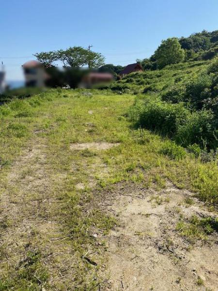 淡路市野島江崎の土地