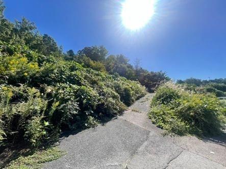 建築条件なし土地