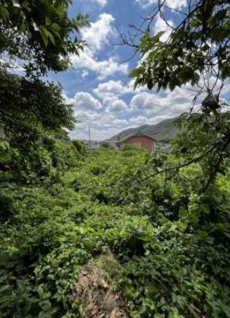 建築条件なし土地