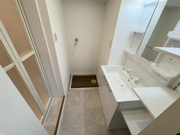 ハイネス生駒(洗面台・洗面所)