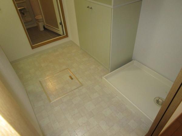 ロイヤルヒルズ富雄F棟(洗面台・洗面所)