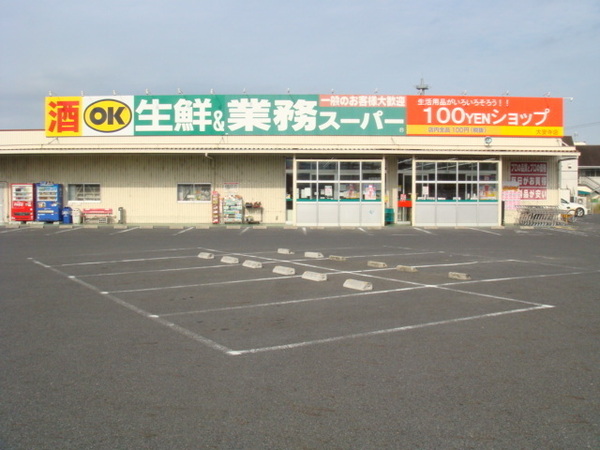 奈良市東九条町の新築一戸建(業務スーパー大安寺店)