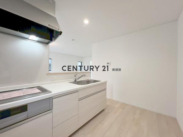 P2台　ルーフバルコニー　制震住宅　5　002