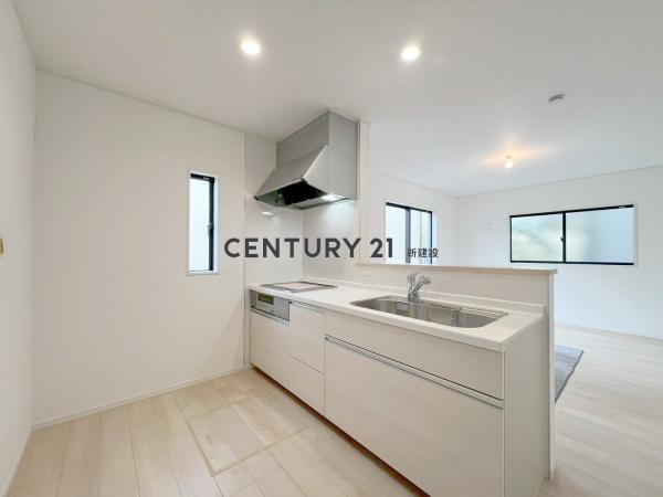 P2台　ルーフバルコニー　制震住宅　5　002