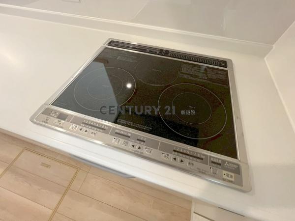 P2台　ルーフバルコニー　制震住宅　8　002