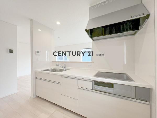 P2台　ルーフバルコニー　制震住宅　8　002