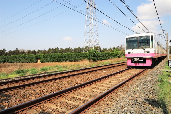 船橋市大穴北１丁目の中古一戸建て(三咲駅(新京成線))