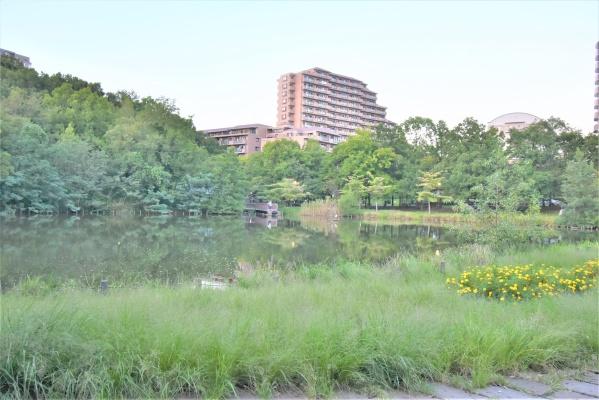 横浜市都筑区北山田２丁目の土地(徳生公園)