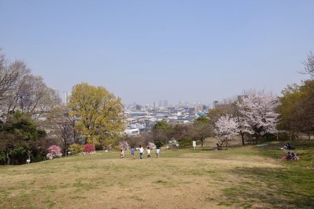 横浜市港北区日吉2丁目の土地(日吉公園)