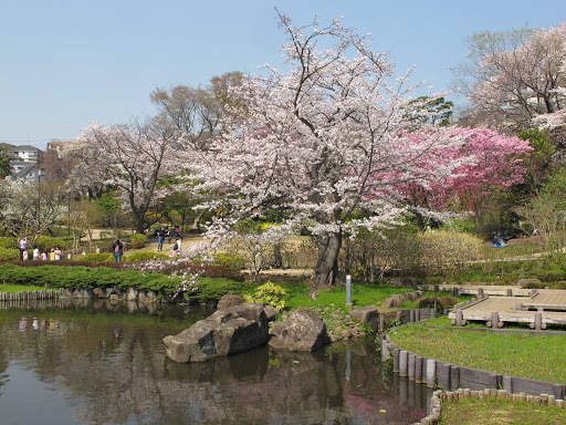 北寺尾5丁目8号棟(馬場花木園)