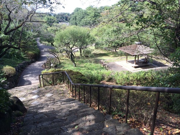 横浜市港北区大倉山5丁目の土地(大倉山公園)