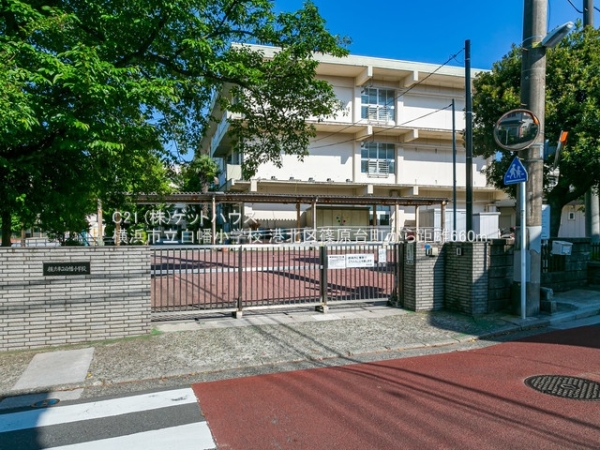 横浜市港北区篠原台町の土地(横浜市立白幡小学校)