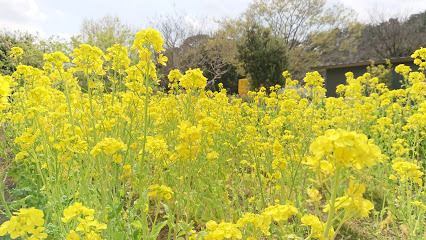 新築一戸建(今井の丘公園)
