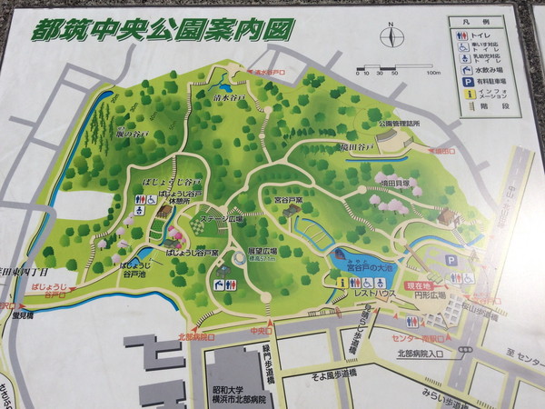 しいの木台ハイツ2号棟(都筑中央公園)