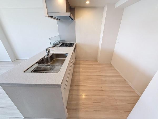 セルアージュ横濱大口Les2(キッチン)