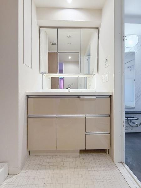 セルアージュ横濱大口Les2(洗面台・洗面所)