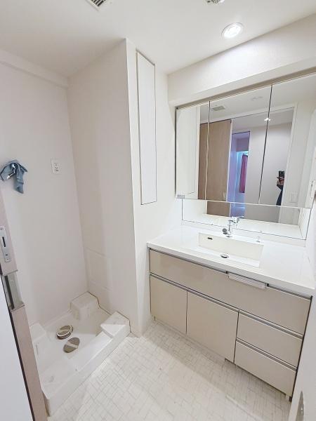 セルアージュ横濱大口Les2(洗面台・洗面所)