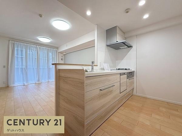 グランシティユーロパレス武蔵中原(キッチン)