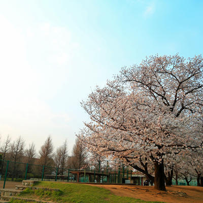 新築一戸建　Ｂ号棟(大師公園)