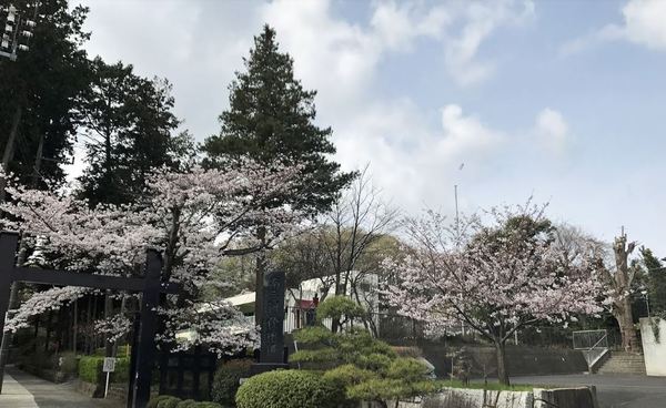 横浜小机西パーク・ホームズ壱番館(小机幼稚園)